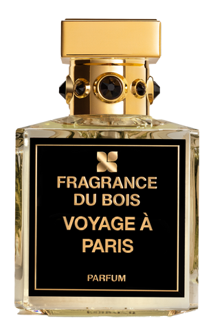 Voyage a Paris