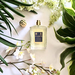 Chypress - Floris - The Perfumetics